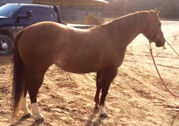 A short description about the picture goes here