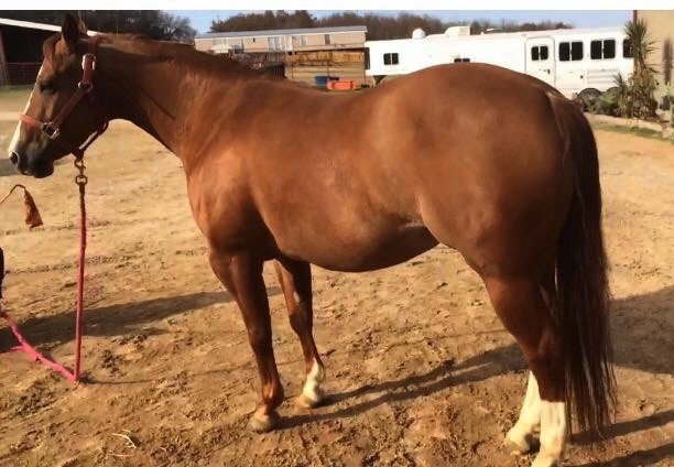 A short description about the picture goes here