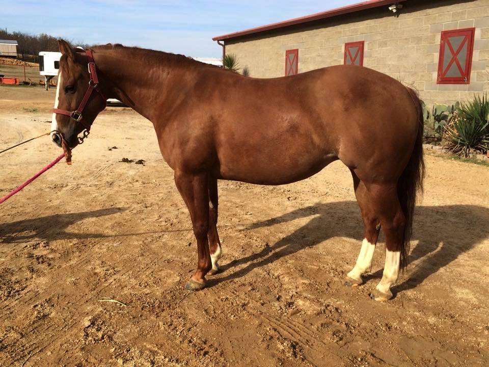 A short description about the picture goes here