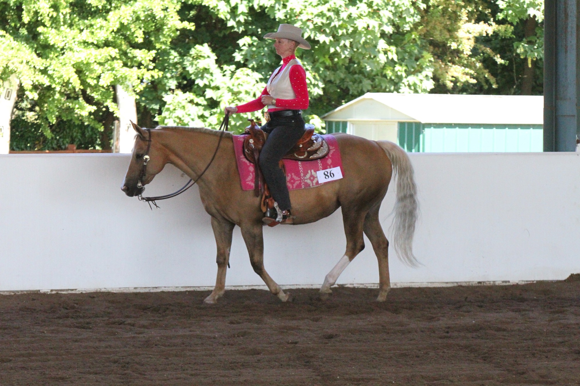 A short description about the picture goes here