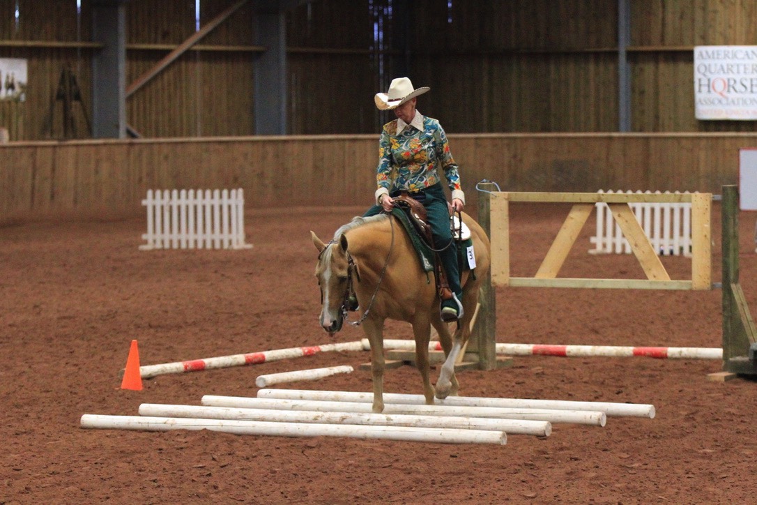 A short description about the picture goes here