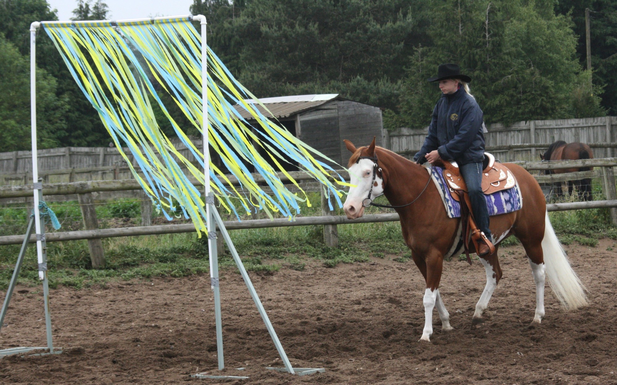 A short description about the picture goes here