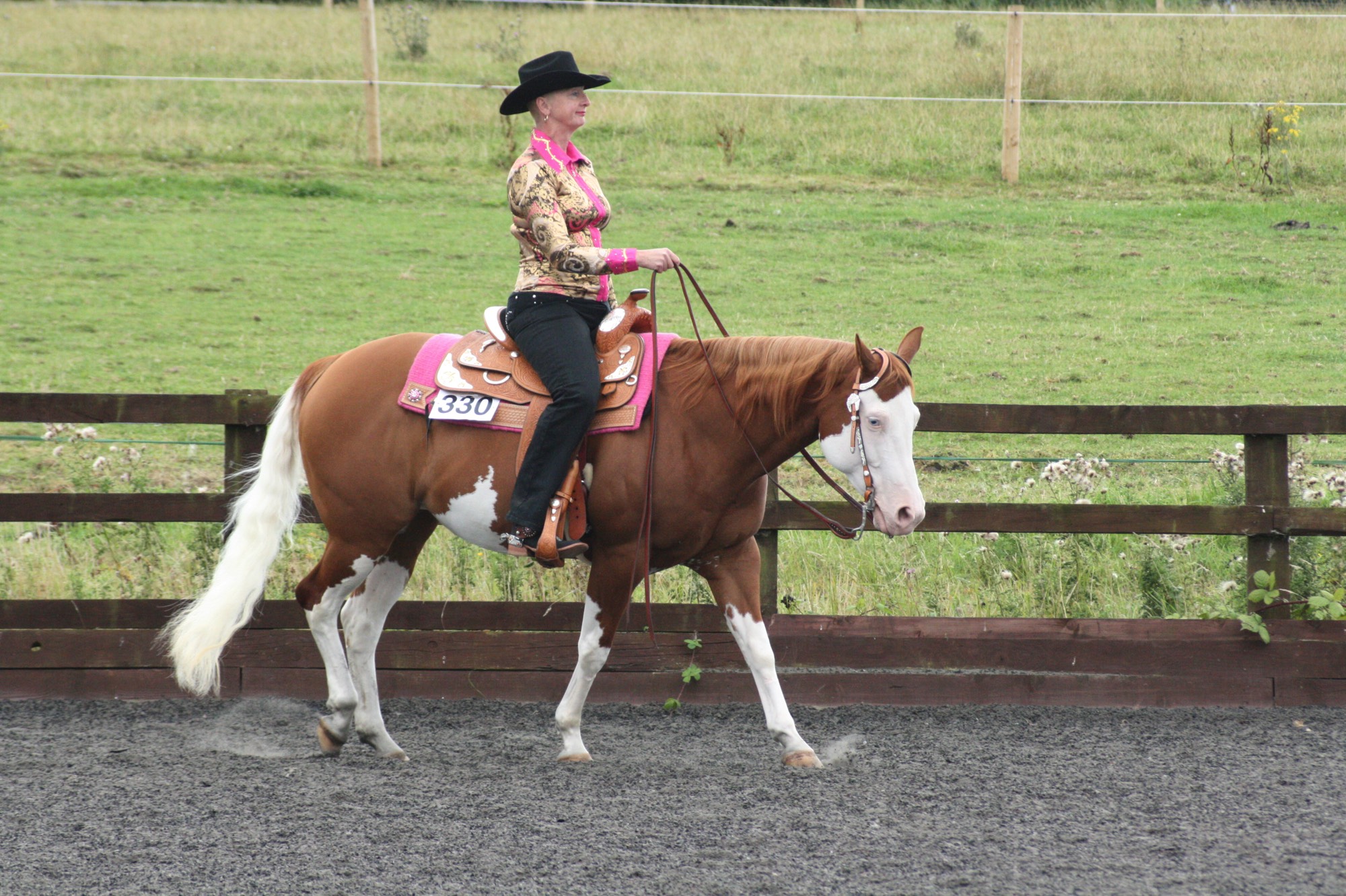 Sue riding Shelly at the WES Nationals in August