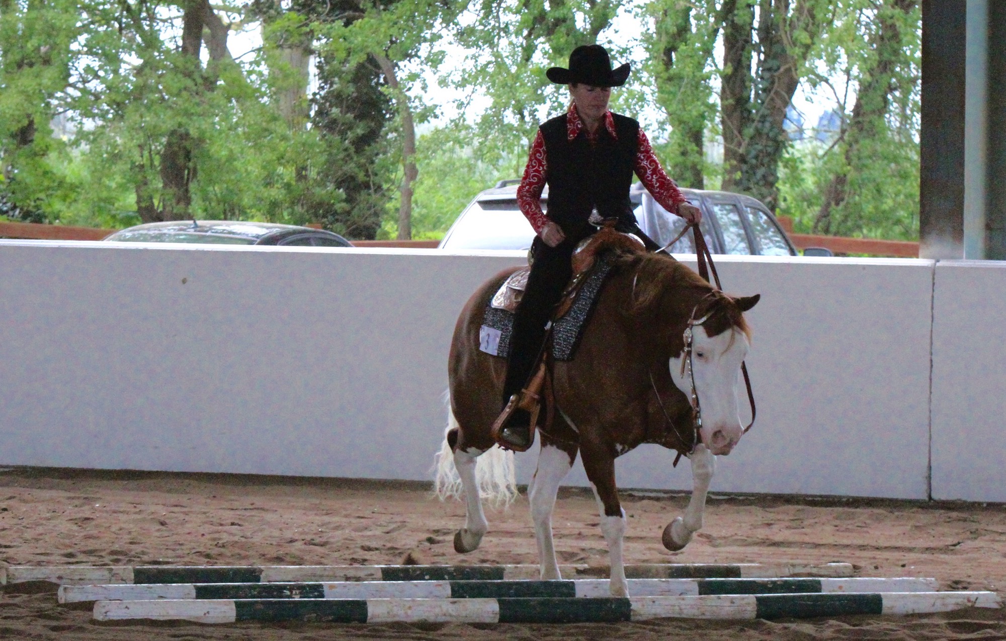 Tanya Rowe, riding Smoking Greyhound (Gunner x Victoria Greyhound) in Trail at the May Fenland Show