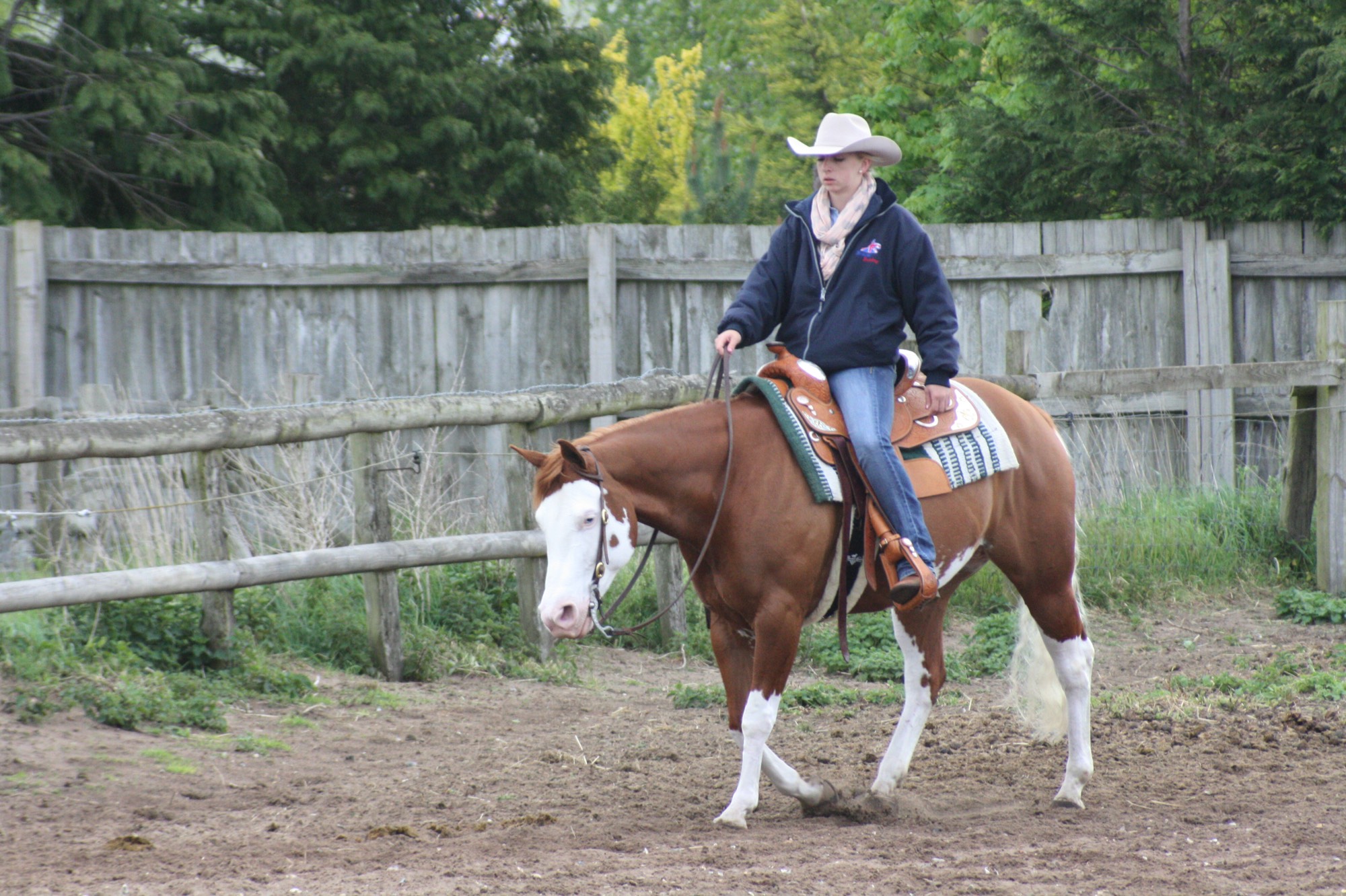 Sophie, competing on Smoking Greyhound at Brandon’s May Show, achieved a 1st in walk jog pleasure a 1st in novice pleasure a 1st in open pleasure, 2nd in walk jog trail and a 4th in prelim reining Go Sophie !