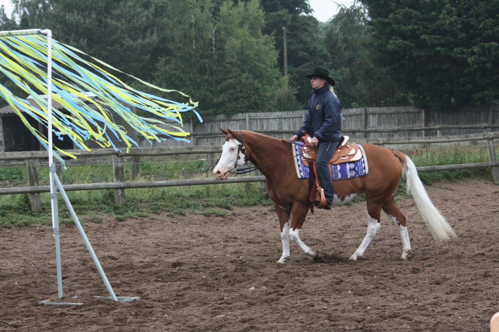 Sophie and Shelly negotiating the 